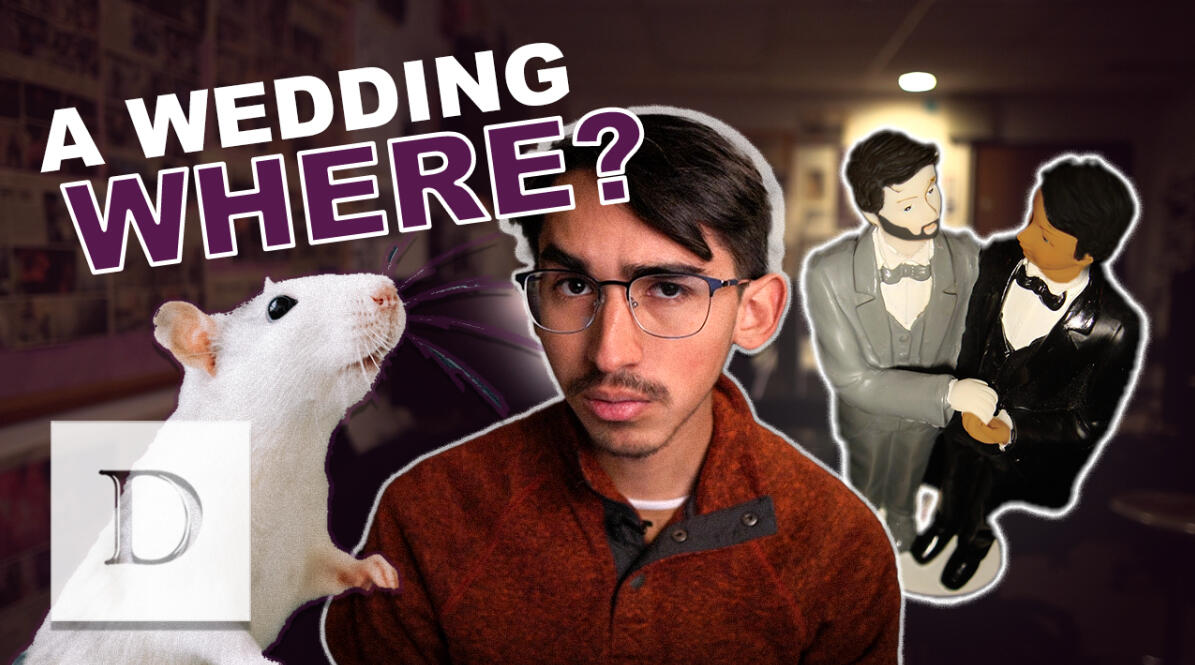 Video: The Gay Chicago Rat Hole Wedding Next Door